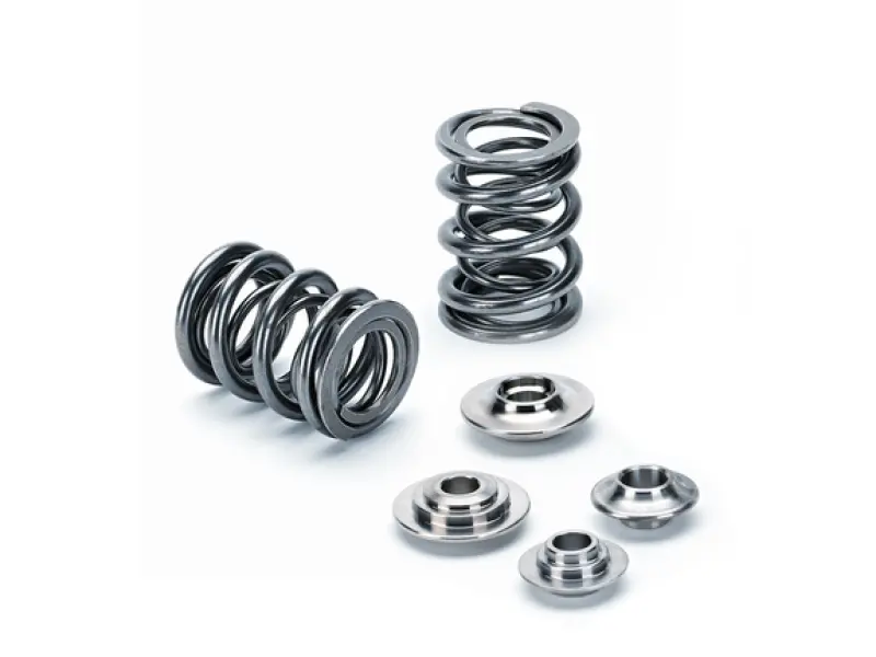 Supertech Bmw S42/M42/M50/S50/M52/M54 Dual Valve Spring Kit 1