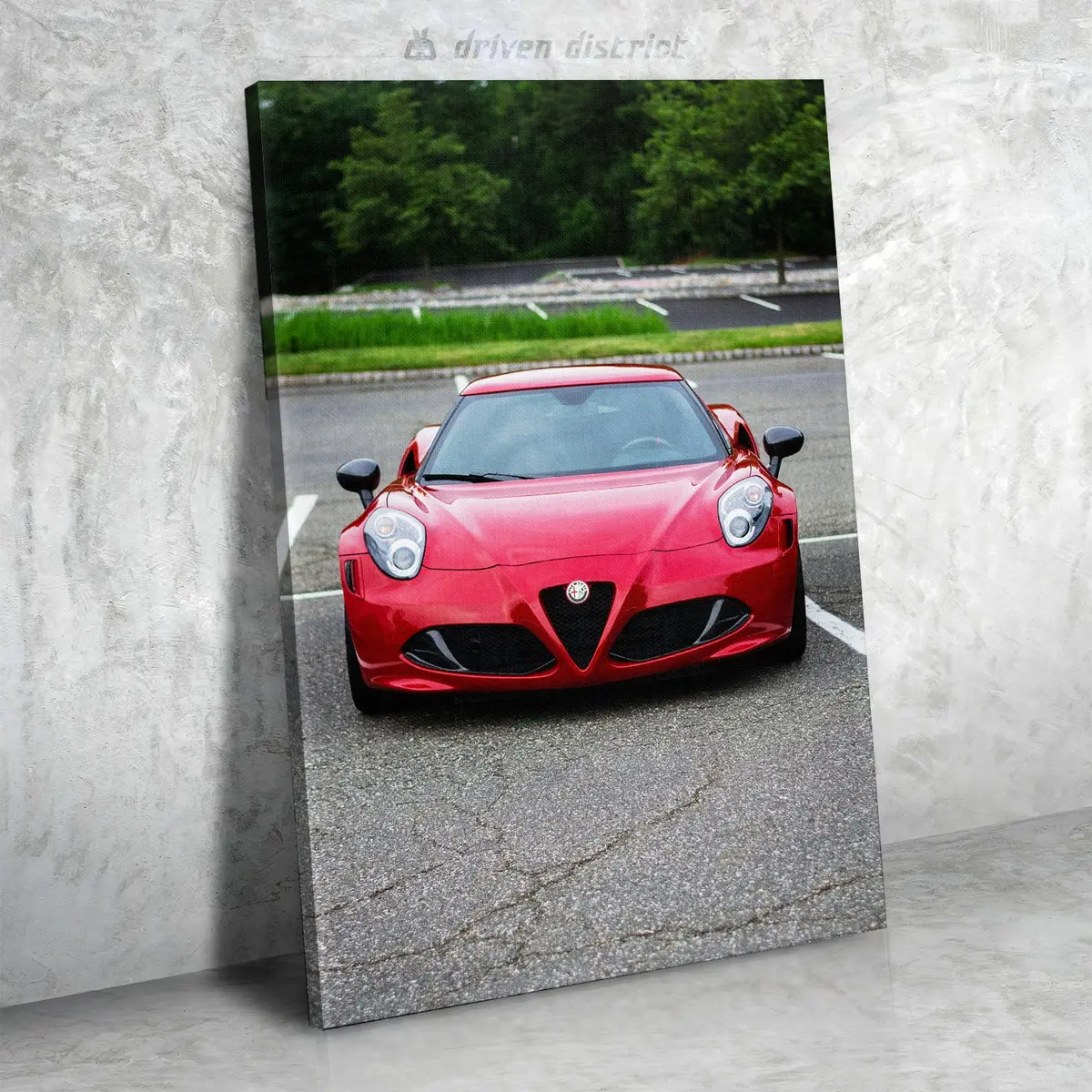 Alfa Romeo 4C Canvas 1