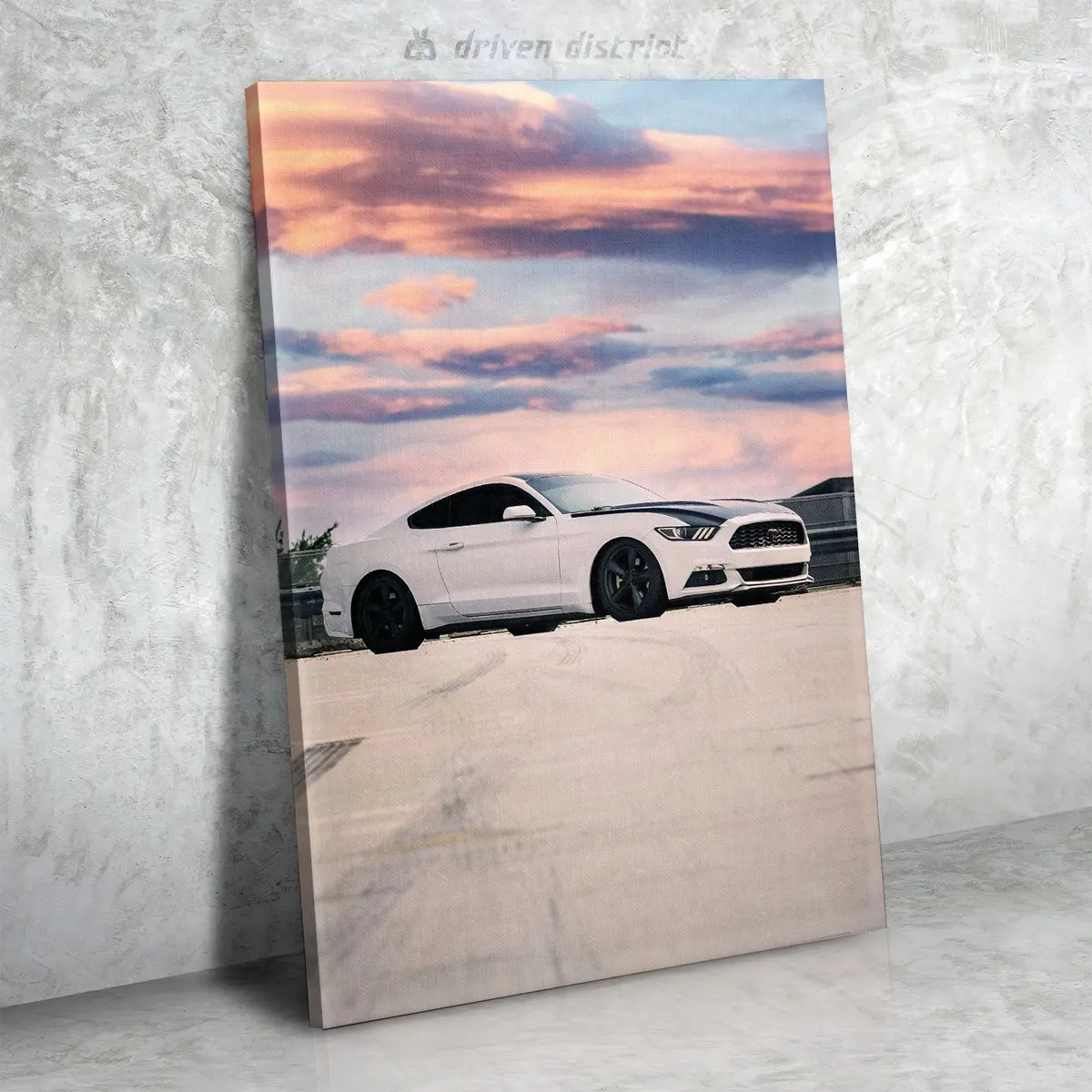 Ford Mustang Canvas (Sky) 1