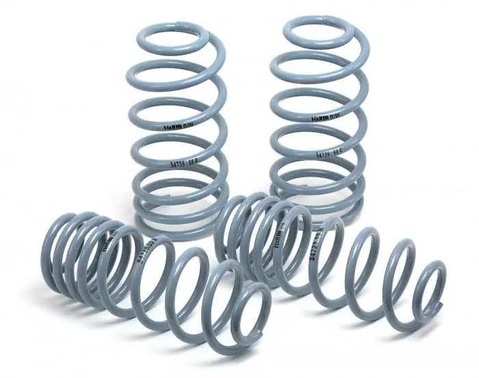 H&R 09-16 Audi A4/A4 Quattro/S4 (2Wd/4Wd) B8 Oe Sport Spring 1
