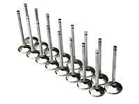 Brian Crower Toyota 2Jzgte/Lexus 2Jzge 30Mm Exhaust Valves 1
