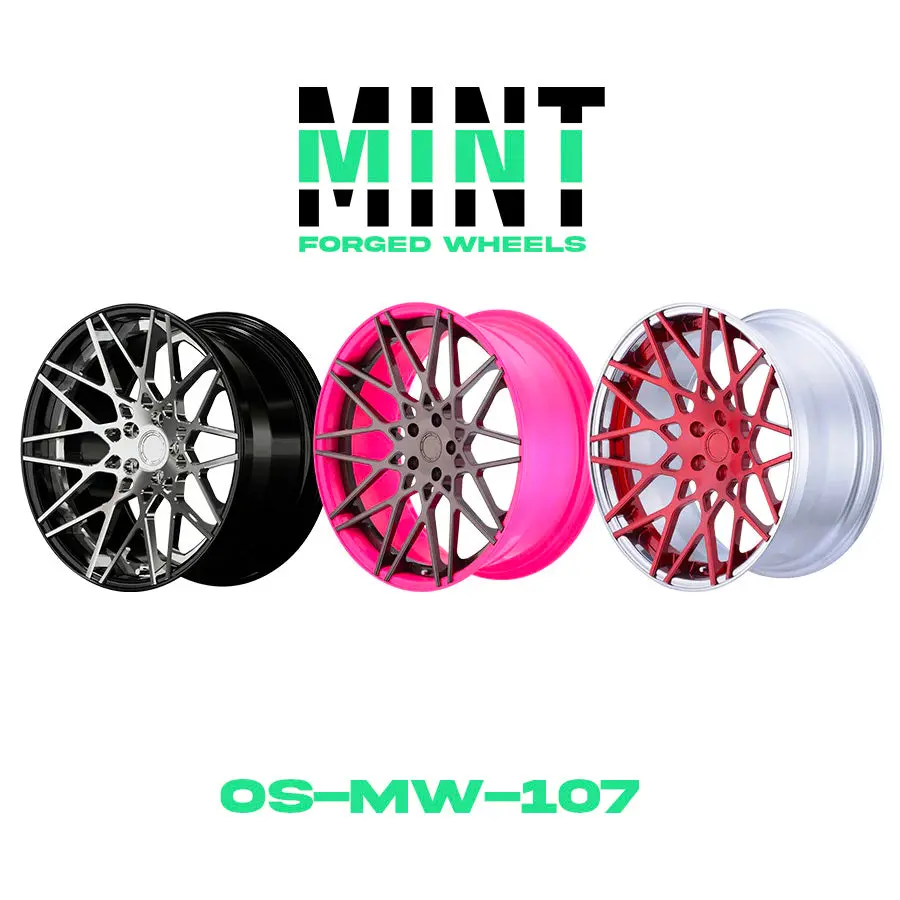 Os-Mw-107 Custom 2Pc Forged Wheel 1