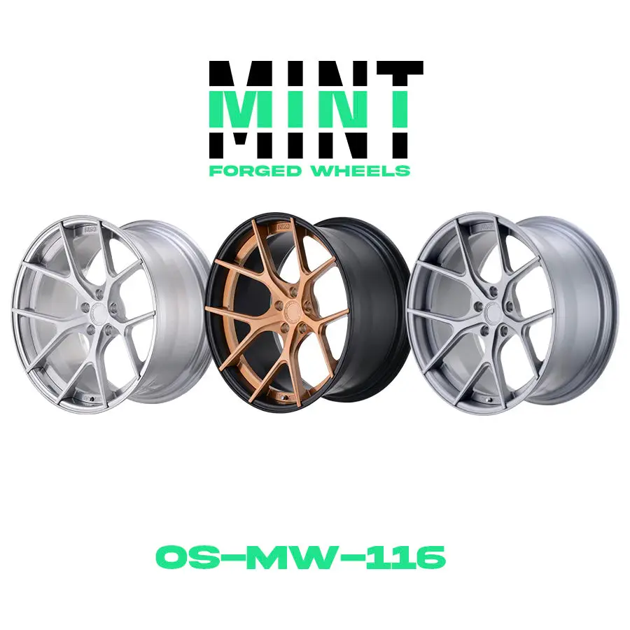Os-Mw-116 Custom 2Pc Forged Wheel 1