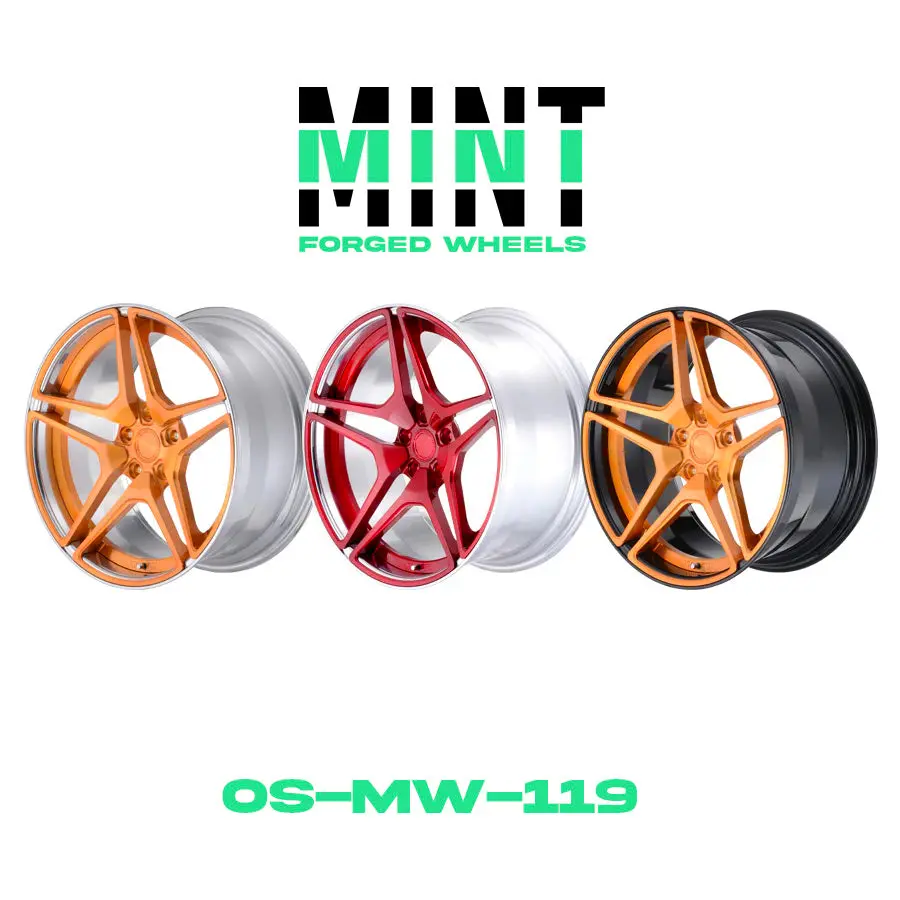 Os-Mw-119 Custom 2Pc Forged Wheel 1