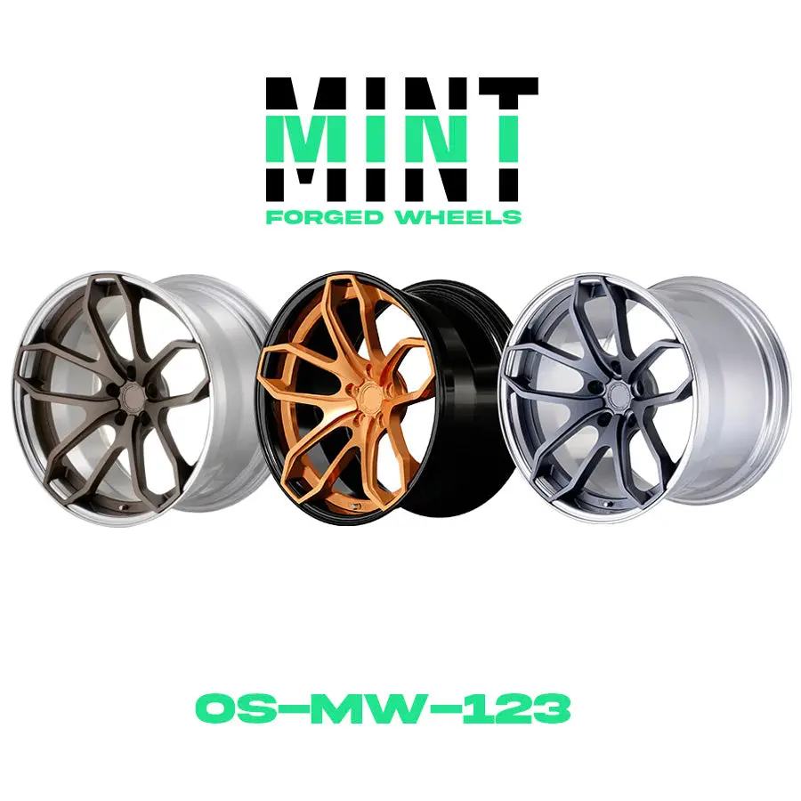 Os-Mw-123 Custom 2Pc Forged Wheel 1