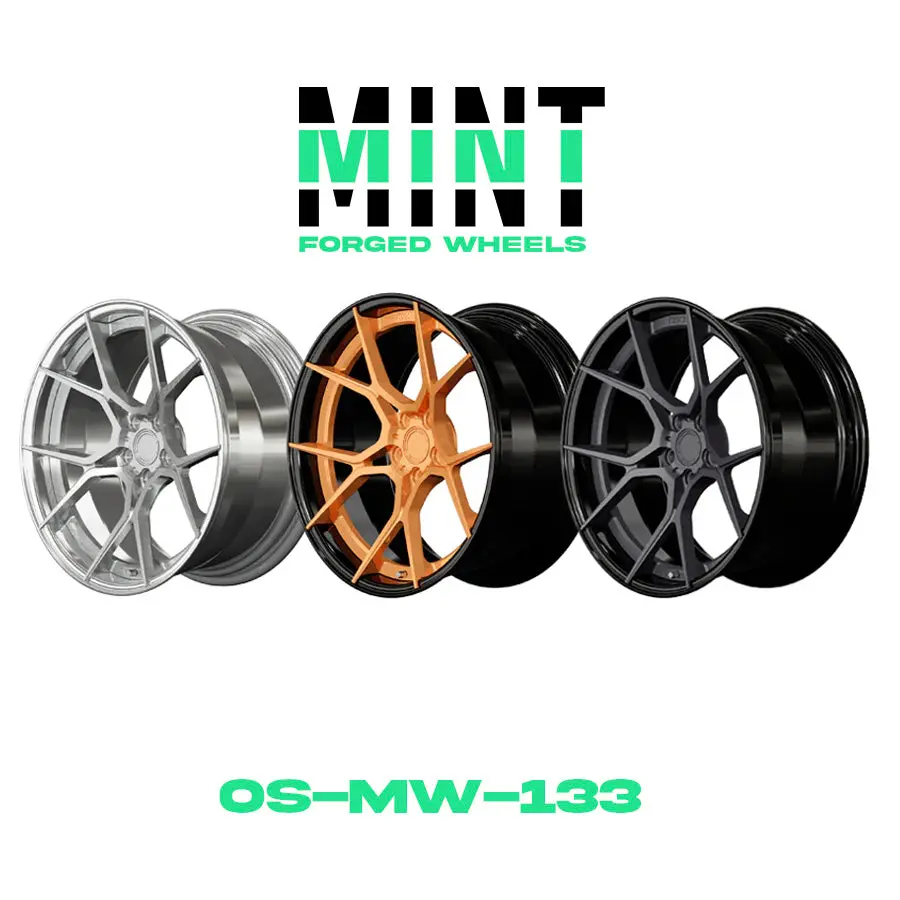 Os-Mw-133 Custom 2Pc Forged Wheel 1